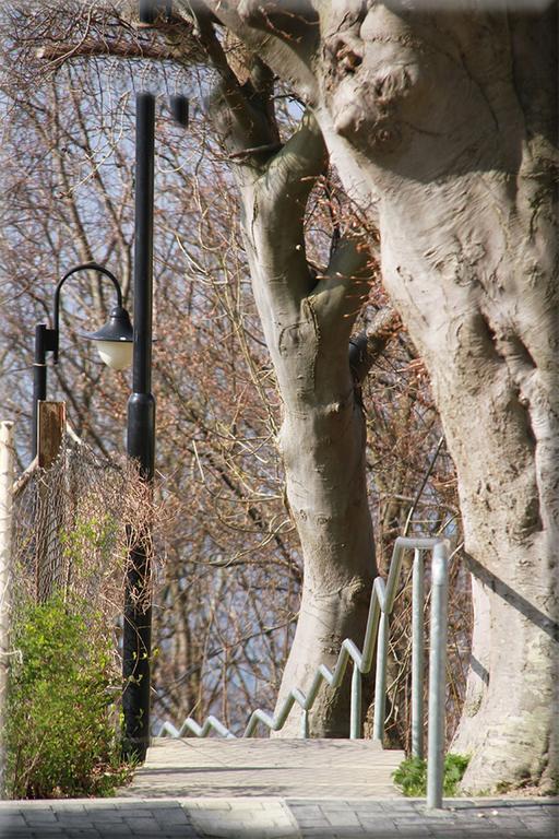 Deutsches Haus Apartments レーメ エクステリア 写真